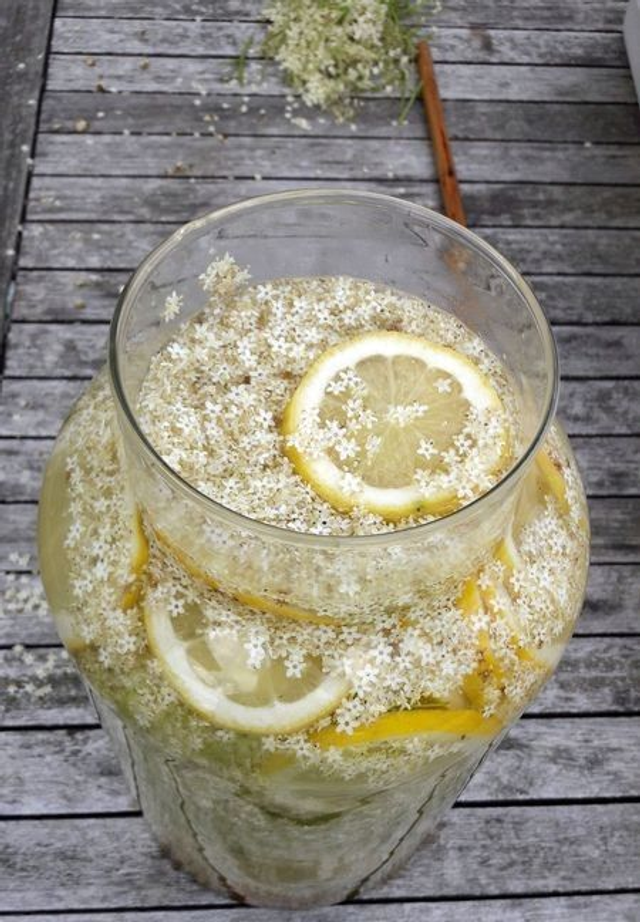 Balade des plantes sauvages comestibles et dégustation du champagne des fées