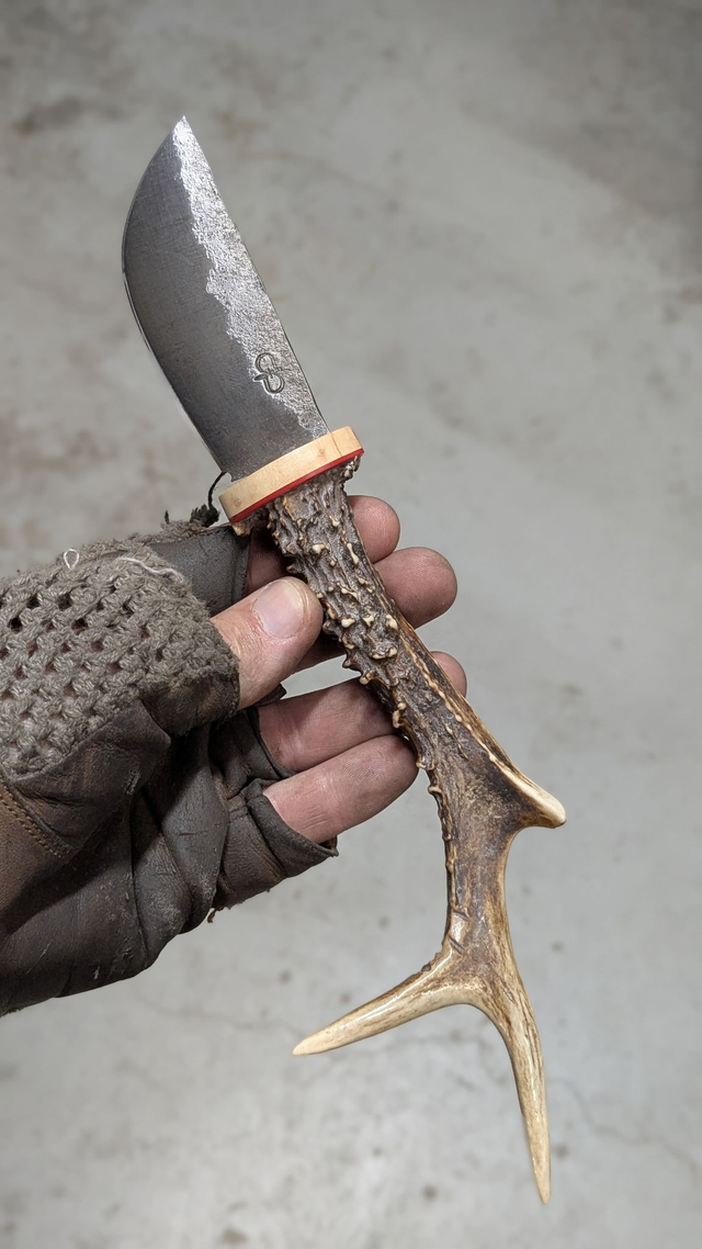 L'appel de la chasse N°2