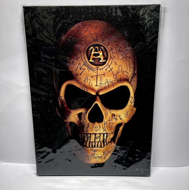 Alchemy Gothic - Omega skull 