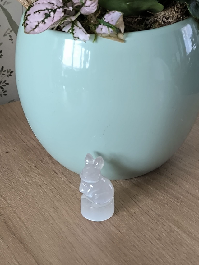 Lapin sélénite