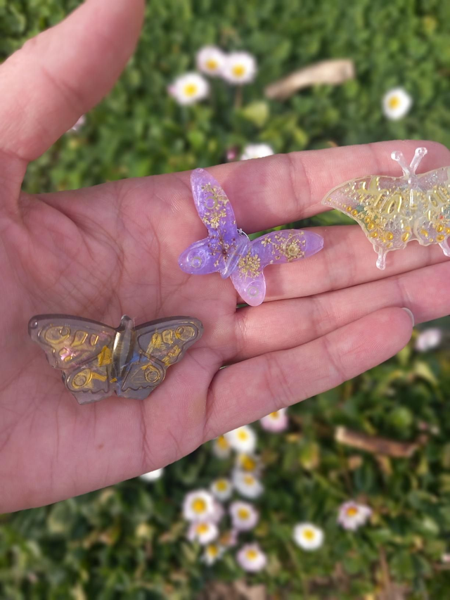 Pin's papillon (1)