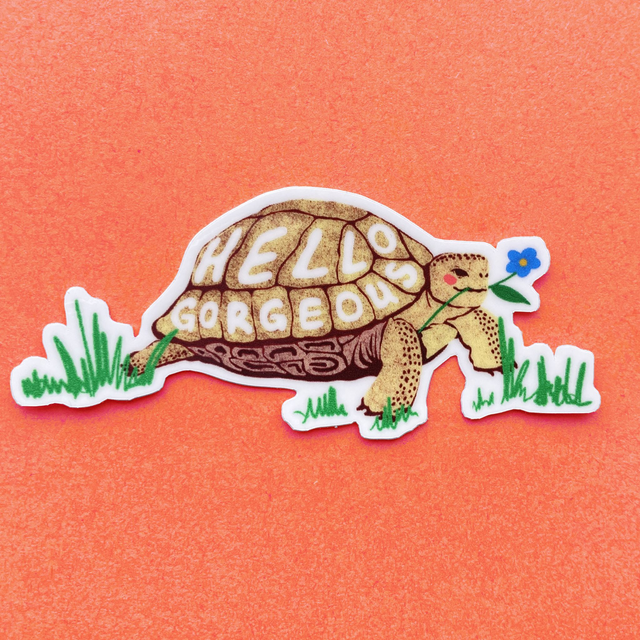 Hello Gorgeous Turtle - Sticker