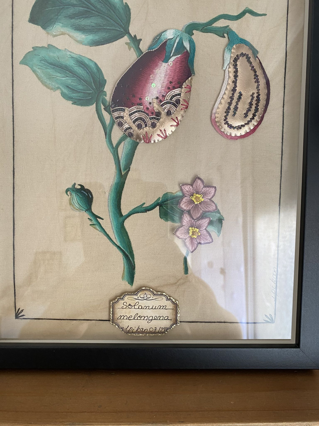 Planche botanique bordeaux rose l'aubergine