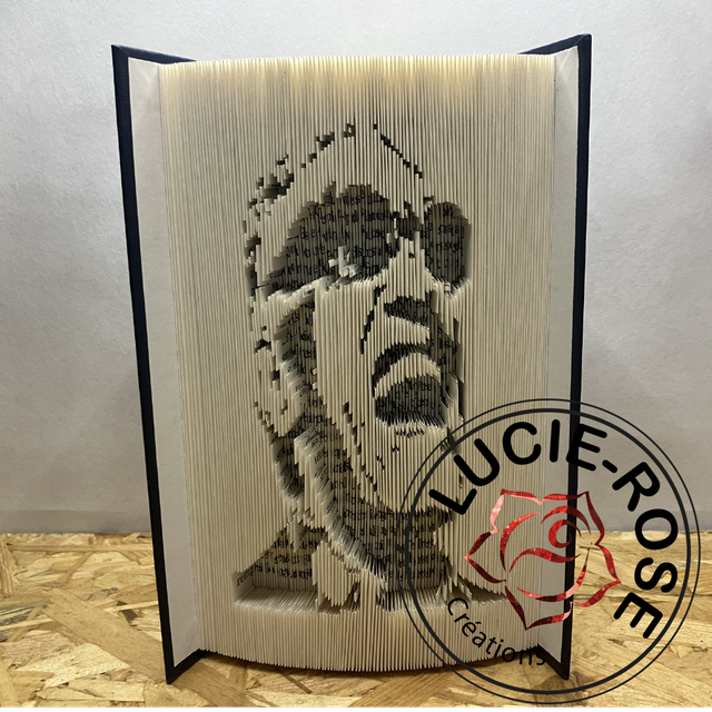Livre sculpté "Ray"