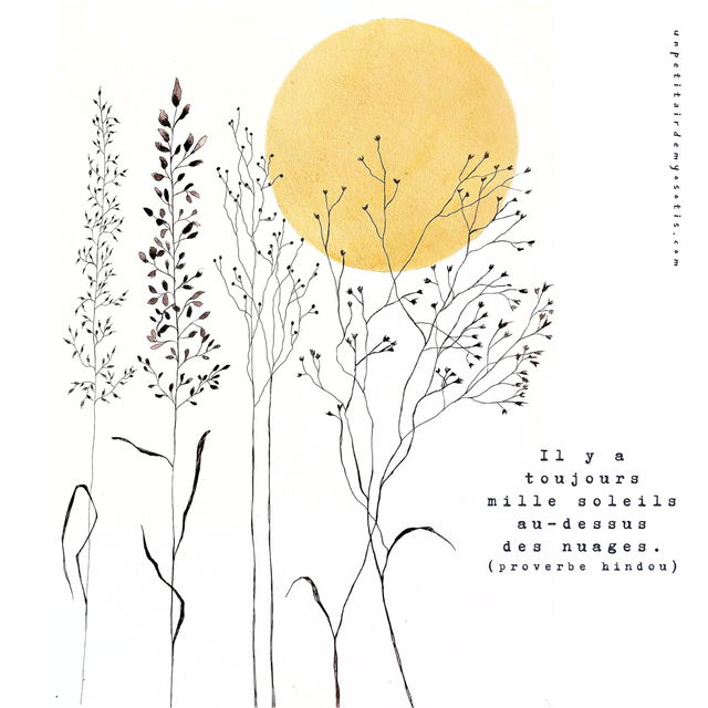 Carte postale &quot;Il y a toujours mille soleils au dessus des nuages&quot; - Graminées et soleil