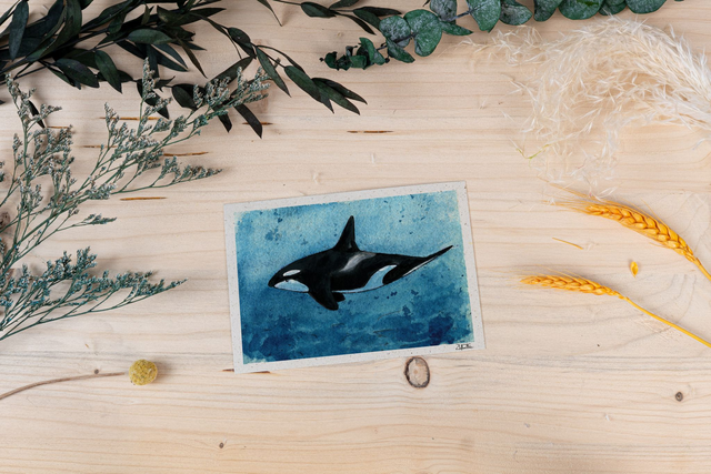 Graspapierkarte - Orca No.1