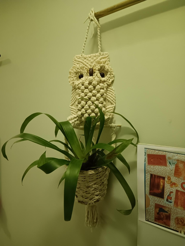 DIY plantenhanger 'uiltje'