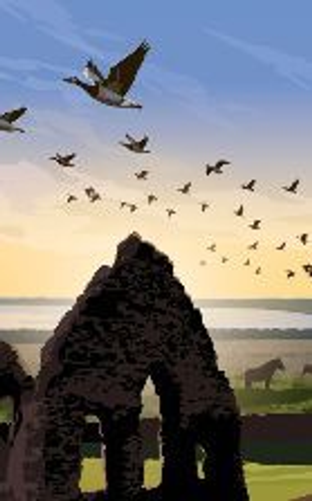 Loch of Strathbeg Post Card 