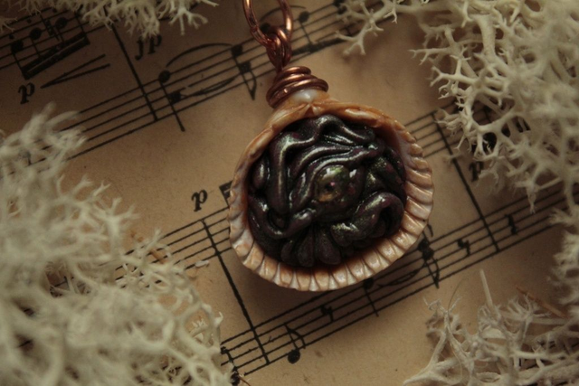 Coquillage Métamorphe- n°1