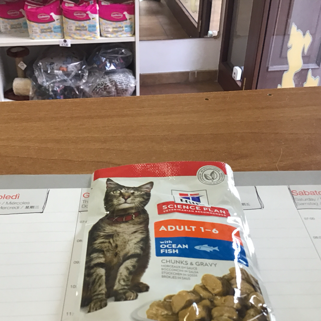 Hill’S Adult KAT 1-6 Anni 052742210506