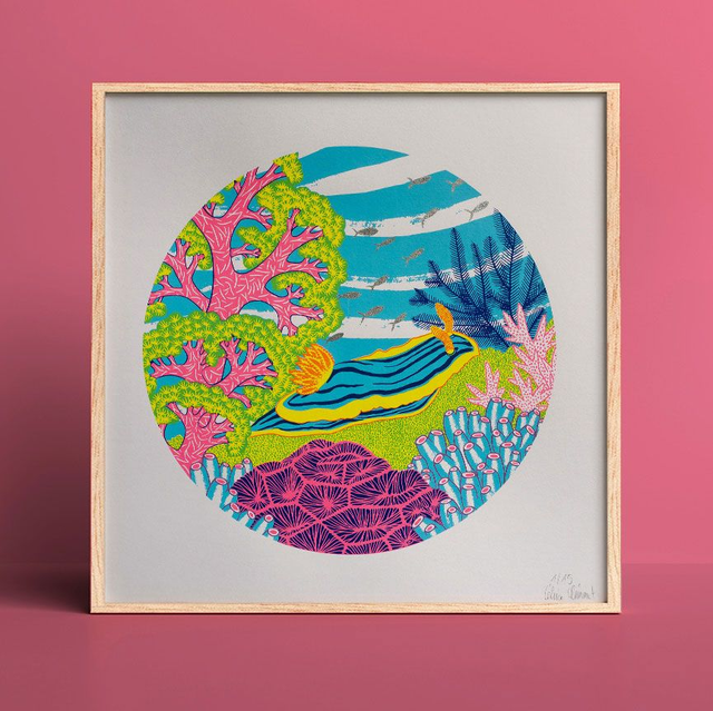 Nudibranche Chromodoris magnifica version argentée