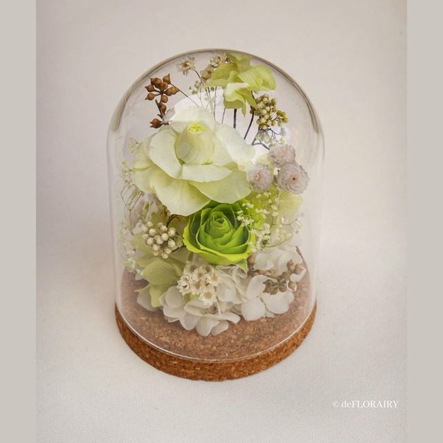 Verdant Muse | Preserved Flower Glass Dome | Next-Day Flower Delivery in Bristol | UK-Wide Delivery