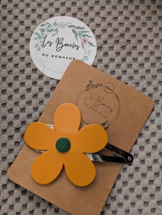 Barrette b020