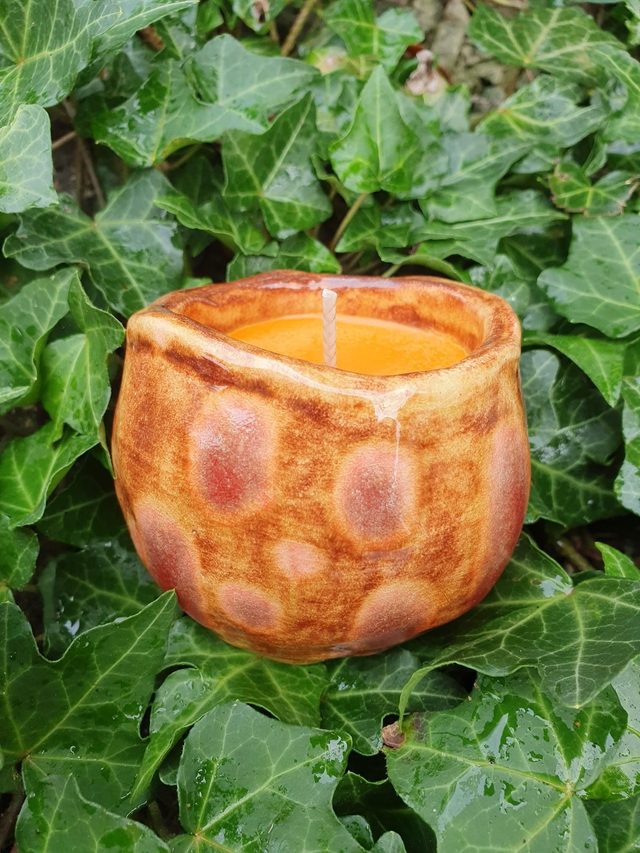 Warm Gingerbread Christmas Candle