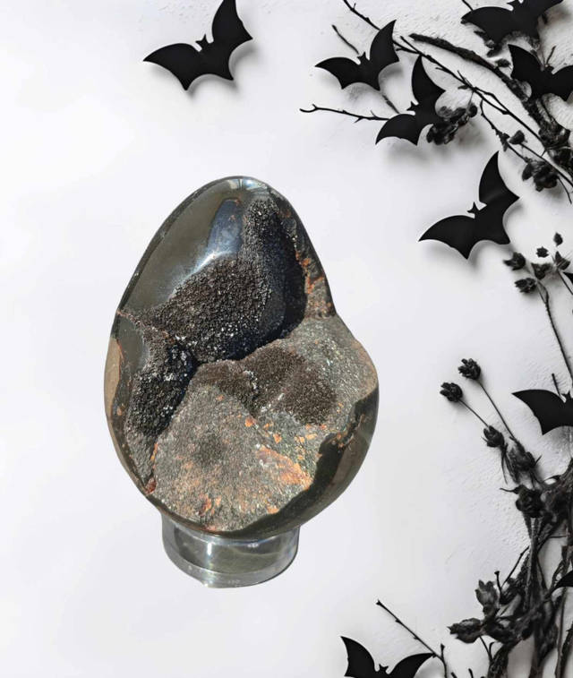Oeuf Septaria