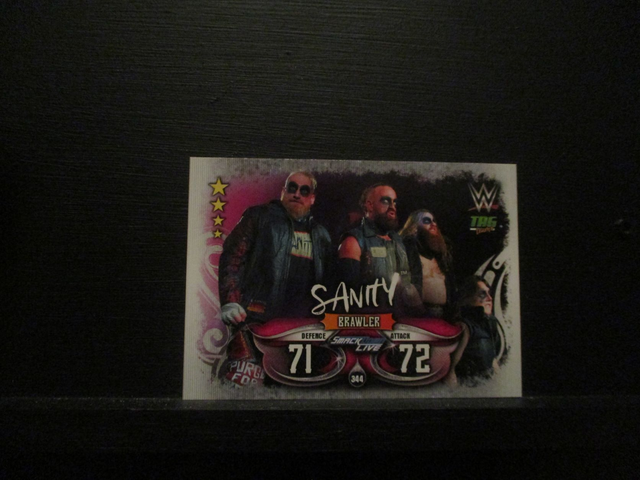 Sanity - Tag Teams Slam Attax Live Original Trading Card #344