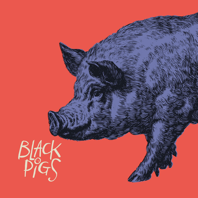 CD Hurricane BLACK PIGS