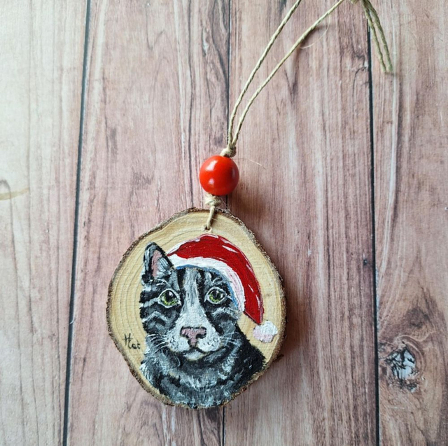 Mini peinture Chat avec un bonnet de Noël
