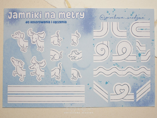 Jamniki na metry | ZWIERZĘTA