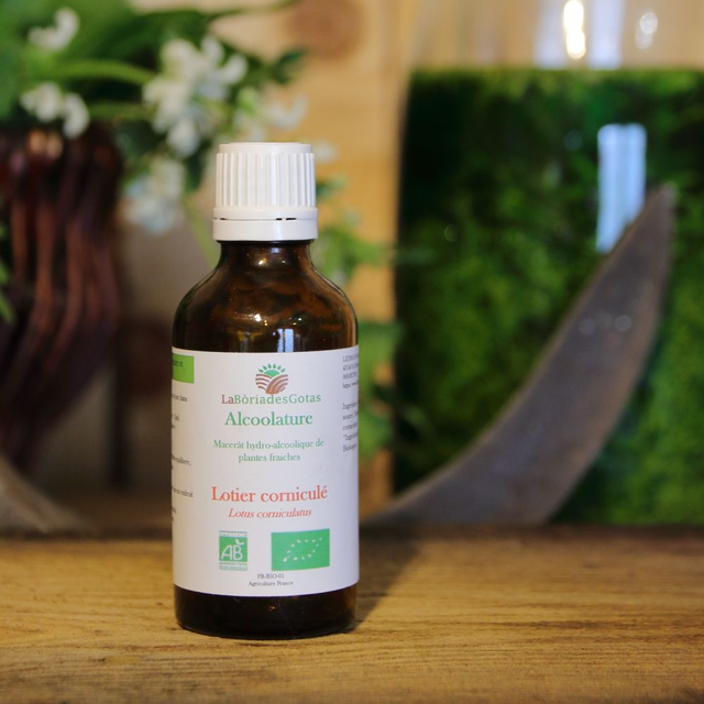 Alcoolature Lotier corniculé