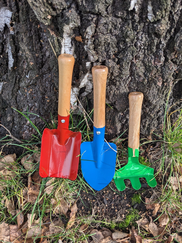 🌼Equipment of Enjoyment