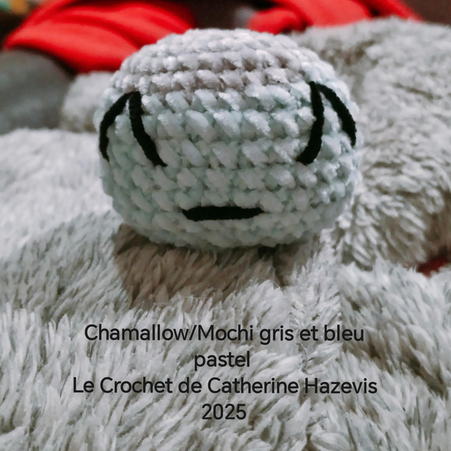 2025 Chamallow/Mochi gris et bleu pastel 