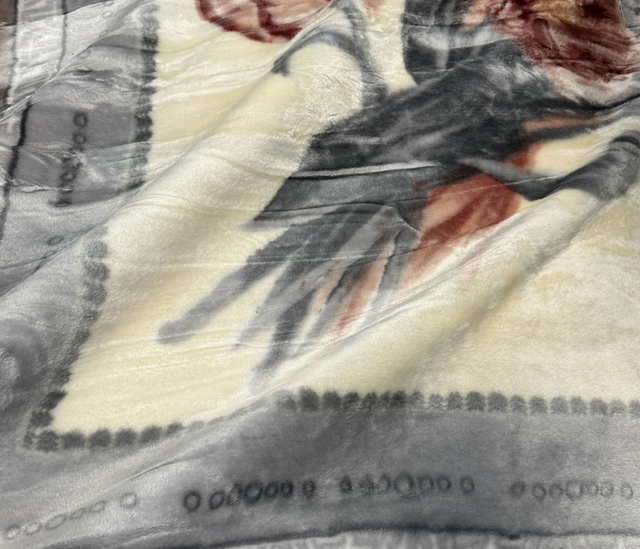 Couvertures polaire 4 kg doublé vert clair 200/240