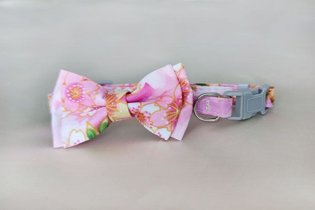 Floral Pink Mini Collar