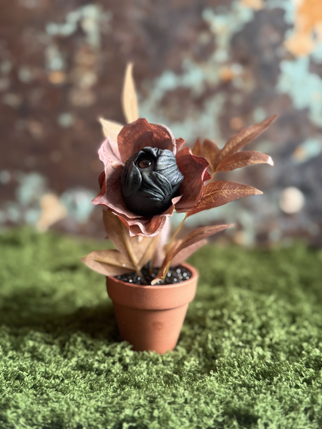 43.🍂 Specimen: The Witherbud