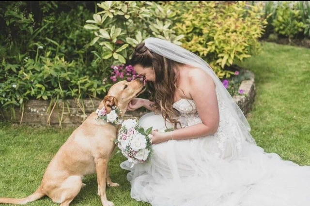 Dog Collar Corsage 