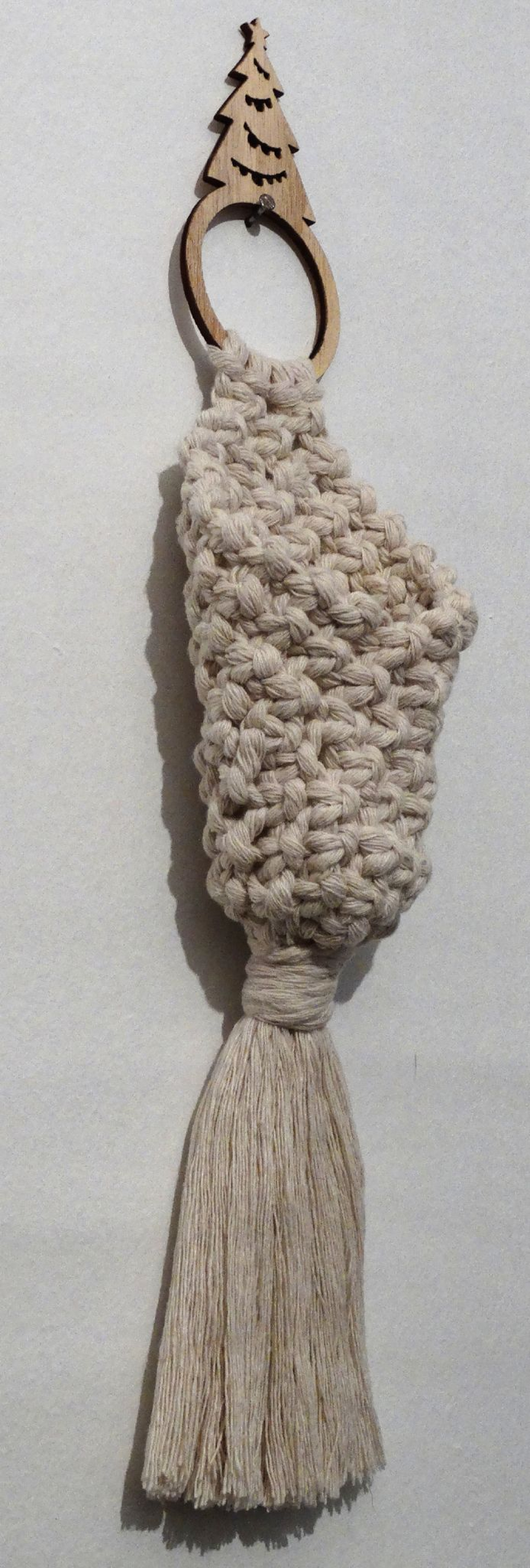 SUSPENSION PLANTE aérienne