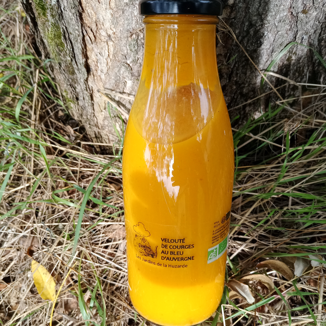 Velouté de Courge au bleu d&#039;Auvergne