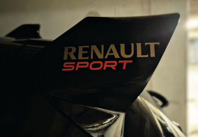 AILERON CUP Version brute