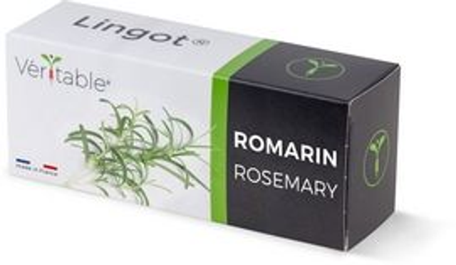 Véritable Lingot Rosemary