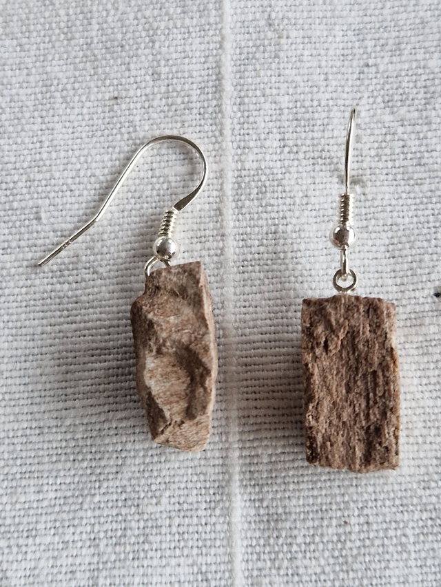 Fossilt - forstenet træ