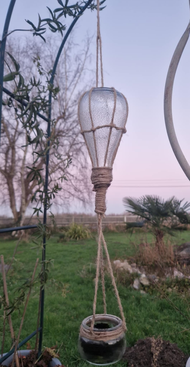 Montgolfière plante