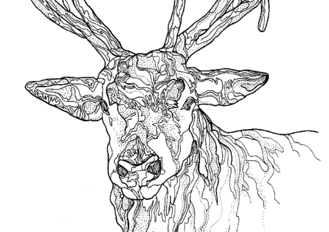B&W A3 print - stag