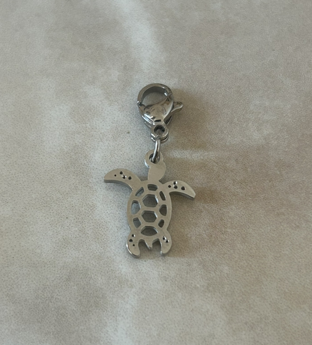 Charms - Tortue