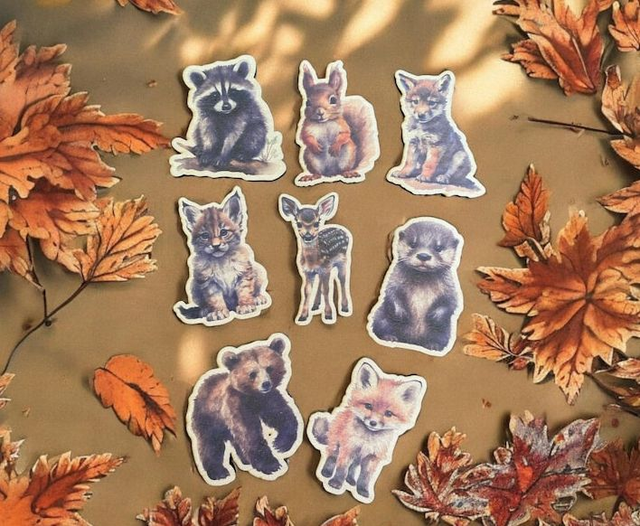 Magnet aimant bois animaux : loup, renard, écureuil, raton laveur ours 