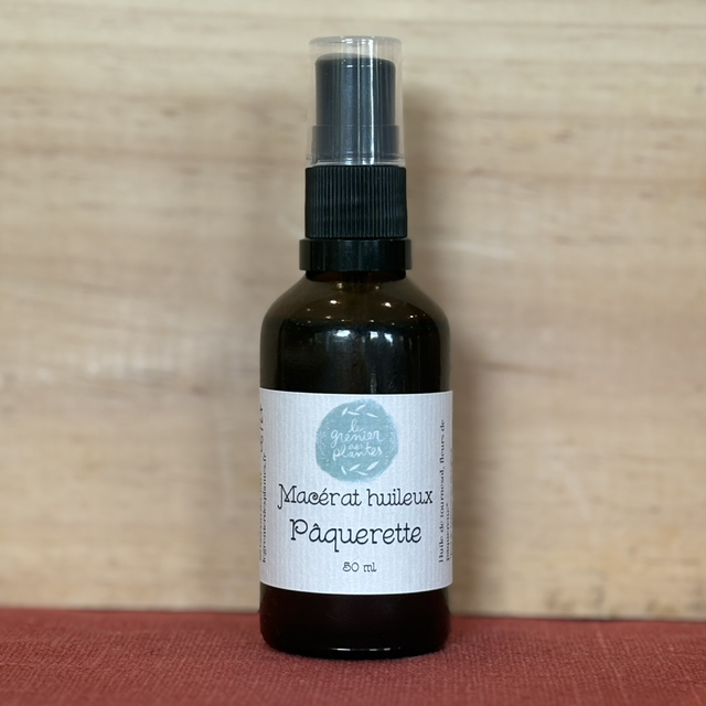 Macérât huileux de Pâquerette
