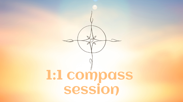 1:1 compass session (online, via Zoom)