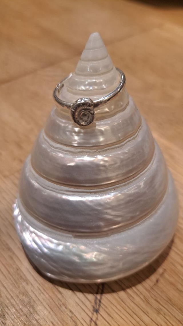 Ammonite fossil ring 