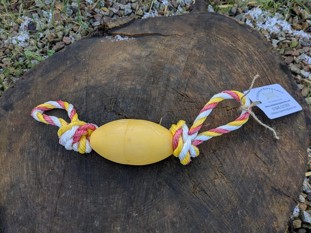 Floating Dog Toy - Padstow &amp; Cornish lifebuoys