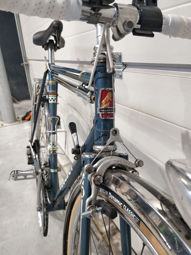 Marcus - vélo d'occasion