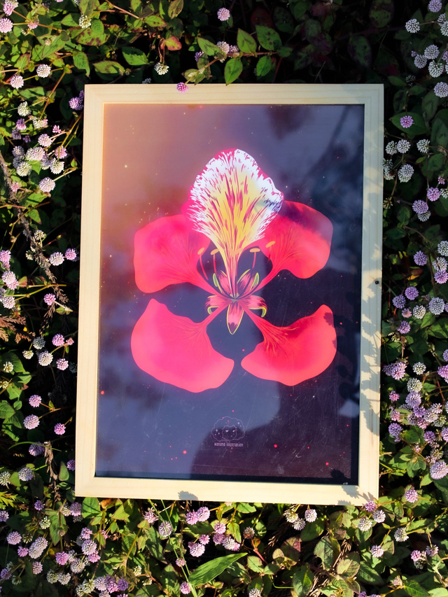 Illustration Flamboyant A4