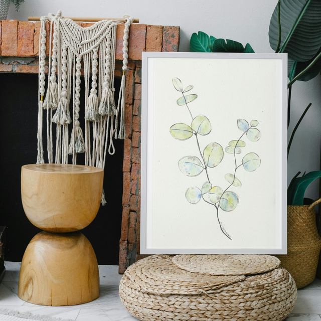 Branche d&#039;eucalyptus