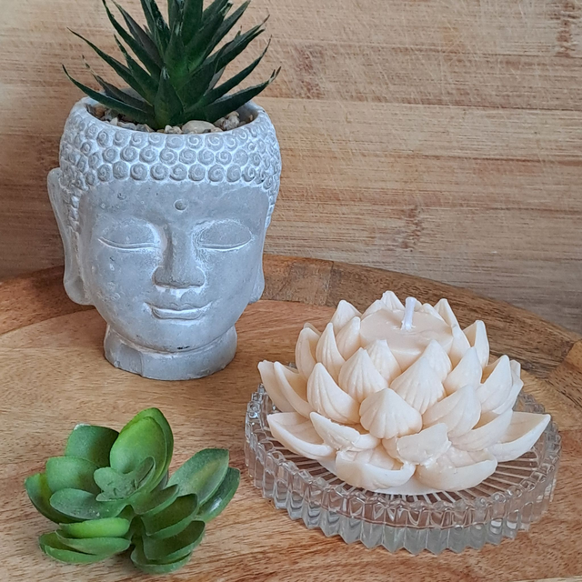 Fleur de Lotus (ouverte)