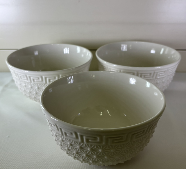 Bol en porcelaine blanc par 12