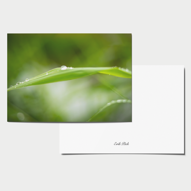 A6 kaart - Na de regen