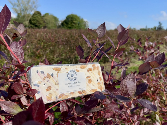 Nougat Myrtilles